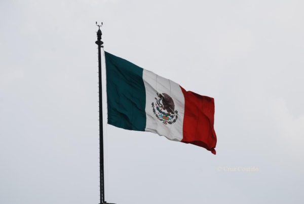  © Viva mi bandera enhiesta. Ciudad de México (2010). 