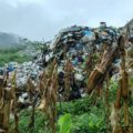 140 familias enferman por contaminación que genera basurero en Yajalón
Autoridades compraron con engaños un predio al poblado Saclumul, donde desechan miles de toneladas de basura 
