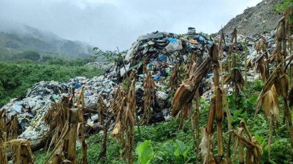 140 familias enferman por contaminación que genera basurero en Yajalón Autoridades compraron con engaños un predio al poblado Saclumul, donde desechan miles de toneladas de basura