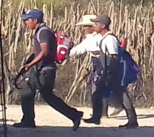 Diversos medios de comunicación han reflejado en sus páginas la creación de autodefensas en Chiapas, o los desmentidos correspondientes de ciertos grupos respecto a su participación.