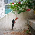 The little girl and the little Apple tree 
#oakoak #streetart #urbanart #apple #appletree #pomme #red  #small #little #girl #art #stairs