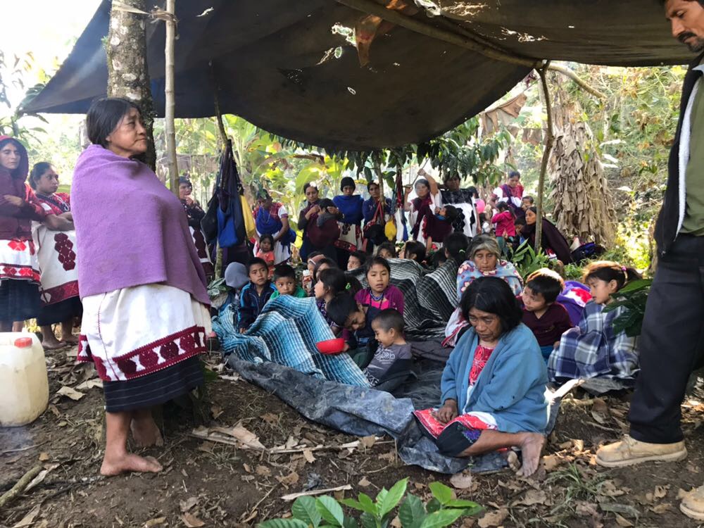 Preocupa la violencia contra defensores de derechos civiles en Chiapas: Frayba