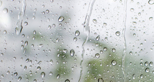 A la mañana siguiente Sofía abrió la ventana de su cuarto, la lluvia había cesado, el sol apenas repuntaba, el aire estaba frío y el viento seguía el ritmo de la noche anterior.  