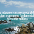 Crédito de foto Descubriendoelmundo Flickr.