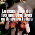 La expansión de los monocultivos en América Latina. 