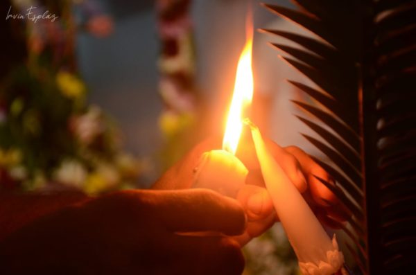La danza se detuvo, el viento se había ido por unos momentos. Orquídea abrió lentamente los ojos, agradeció al árbol ese bello regalo.