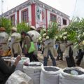 Santo Patrón
Comitiva del candidato a la presidencia de San Juan Chamula por el PRI se dirige a dejar las flores al Santo patrón San Juan Bautista.
Autor: Isaac Guzmán