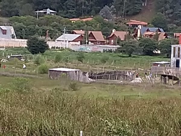 Lilia estaba quitando la maleza en el patio de la casa, en ese terruño tan querido, lejos del bullicio de la ciudad, el sol de la tarde era aún abrasador. Disfrutaba despojar de las enredaderas a los árboles de limón y aguacate, para ella era liberarles y dejarles respirar de tan atosigadoras compañías.