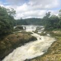 Niegan a empresa privada permiso para la construcción de mini hidroeléctrica en la Selva Lacandona
Foto: Isaín Mandujano