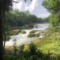 Niegan a empresa privada permiso para la construcción de mini hidroeléctrica en la Selva Lacandona
Foto: Isaín Mandujano