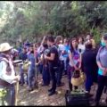 Grupo de encapuchados agrede a 500 ambientalistas en San Cristóbal de las Casas Grupo de ambientalistas