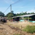 Acribillan a tiros a ex editor y activista de Cacahoatán 