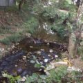 Río San Agustín contaminado. 