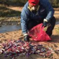 Localizan seis kilos de tubos de ensayo con sangre en un río de Cintapala (1)