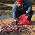 Localizan seis kilos de tubos de ensayo con sangre en un río de Cintapala (1)