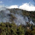 Incendio en Biósfera El Triunfo acaba con 130 hectáreas de bosque de niebla. Foto: Cortesía