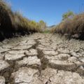 Avanza formalización para construir una planta de tratamiento dentro de los humedales María Eugenia