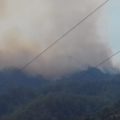 Incendios devastan 17 mil 500 hectáreas en la selva de Chimalapas; Ong denuncia desatención gubernamental 