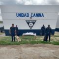 Rinden homenaje a Cashmir, perro policía que falleció tras 10 años de servicio