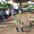 Jóvenes se suman al programa de reforestación en Tuxtla Gutiérrez 15