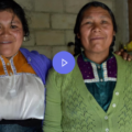 Proyecto Hábitat; llevar la sustentabilidad a hogares de los Altos de Chiapas