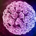 Todo lo que debes saber sobre el Virus del Papiloma Humano (VPH)