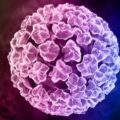 Todo lo que debes saber sobre el Virus del Papiloma Humano (VPH) Todo lo que debes saber sobre el Virus del Papiloma Humano (VPH)