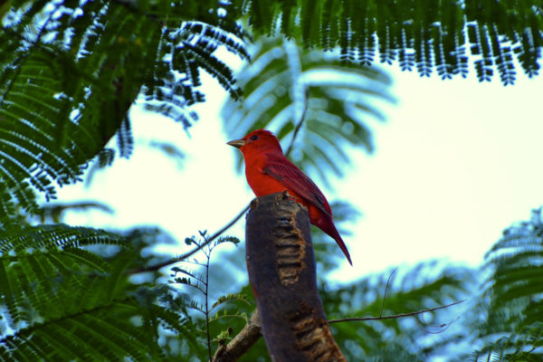 Estar en el mundo y volver a habitarlo nuevamente, requiere resituar el lugar en el cual pensamos la realidad para transformarla.