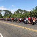 Migrantes de la caravana 2020 logran avanzar por la carretera Panamericana. Foto: Daniel Zacarías