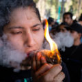 Marihuana: se tambalea un siglo de prohibición