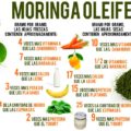 Hojas de Moringa Oleifera.
Cortesía. Internet.