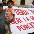  Granja de puercos amenaza agua dulce en Yucatán; la Corte estudia el caso