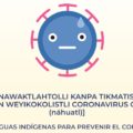 Materiales en lenguas sobre el Coronavirus. Cortesía: INPI.