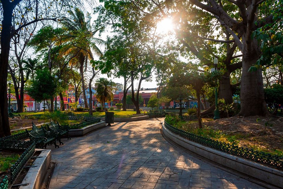 Una bella ceiba les invitaba a dejarse cobijar por su sombra. Mientras tomaban un respiro comenzaron a platicar sobre la primavera que estaba iniciando.