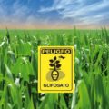Exigen prohibición de importación y uso del glifosato en suelo mexicano