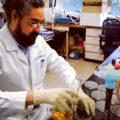 Científicos contra la «desinfodemia» sobre el coronavirus Científicos contra la «desinfodemia» sobre el coronavirus