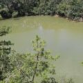 Las aguas residuales de Comitán fluyen a las lagunas de Montebello, la cuales se han contaminado y presentan un aspecto desagradable. Cortesía: Jorge Gordillo.