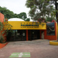 Museo de Museo de Paleontología “Eliseo Palacios Aguilera”. Cortesía: Sistema de Información Cultural del Gobierno de México (SIC).