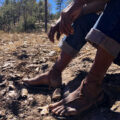 Desplazamiento en la Tarahumara: obligados a dejar su comunidad y su bosque