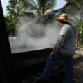 Artesanos paneleros, trabajan hasta 12 horas diarias para aprovechar los días previos al día de muertos, en el que tienen sus mejores ventas.
Foto: Daladiel Jiménez