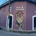 El mural aún no se encuentra terminado, por lo que el artista espera llegar a un acuerdo para seguir con él. Foto: Cortesía.