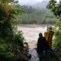 Pueblos zoques piden apoyo ante la pérdida de sus cultivos de maíz Afectaciones en las comunidades zoques del estado. Cortesía: Centro de Lengua y Cultura Zoque.