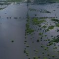La deforestación del Valle de Paal Pool, en Hopelchén, se realizó en la década de los setenta como consecuencia de programas gubernamentales para la siembra de arroz; el ecosistema nunca se recuperó. Foto: Cuauhtémoc Moreno. 