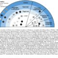 Clasificación de las iniciativas de ciencia ciudadana en función de su alcance geográfico, temático y grado de integración de la ciudadanía en la generación de conocimiento. 