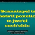 Scanatayel ta bats'il poxetic te jwe'el cuch'eltic. Video creado por creado colectivamente por un grupo de jóvenas y jóvenes del Gobierno Comunitario de Chilón en su Diplomado Agroecovisual para la Autonomía que cuenta con el apoyo de PVIFS, CEDIAC, Canan Lum y Misión de Bachajón.