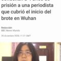 Zhang Zhan fue declarada culpable por intento de causar problemas.