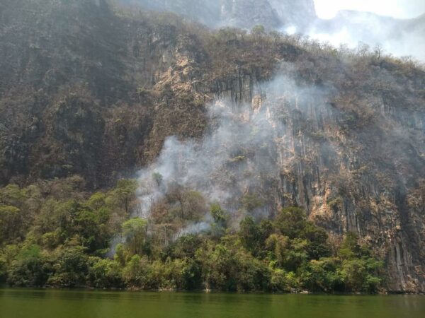 Julieta se percató del silencio que se formó, miró el espejo retrovisor y observó que los mellizos iban despiertos y atentos al paisaje, cada uno en su respectiva ventana, con el cristal hacia abajo.