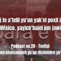 fondo-podcast-28-tseltal