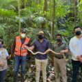 Tortuga y  Boa Constrictor, fueron halladas cerca de las áreas de trabajo del Tren Maya. Cortesía: Tren Maya Palenque