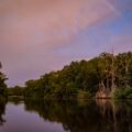 Plácido atardecer en los majestuosos manglares de Mapastepec, Chiapas, casi en el corazón de la Reserva de la Biosfera "La Encrucijada". © Daniel Pineda Vera, 2020.
